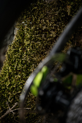 De Rosa SETTANTA DB - ECLIPSE GREEN - Frameset