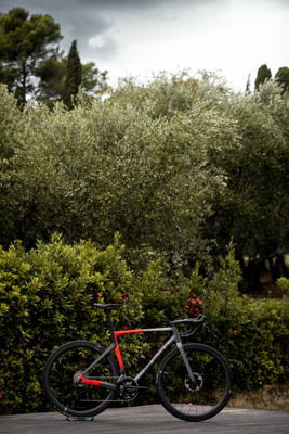 De Rosa SETTANTA DB - ECLIPSE STONE RED - Frameset