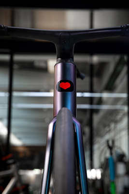 De Rosa ANIMA DISC - DARK - Frame - De Rosa