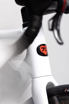 De Rosa SETTANTA DB - White GLOSS - Frameset [XXL]