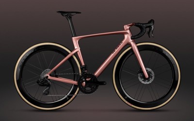 De Rosa MERAK - Classic Rose - Frameset