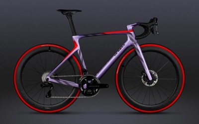 De Rosa MERAK - Dynamic Violet - Frameset