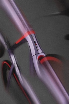 De Rosa MERAK - Dynamic Violet - Frameset