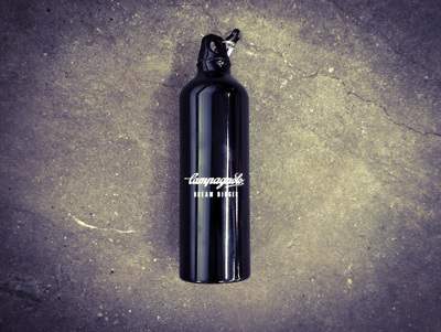 DREAM BIGGER water bottle 770-alu